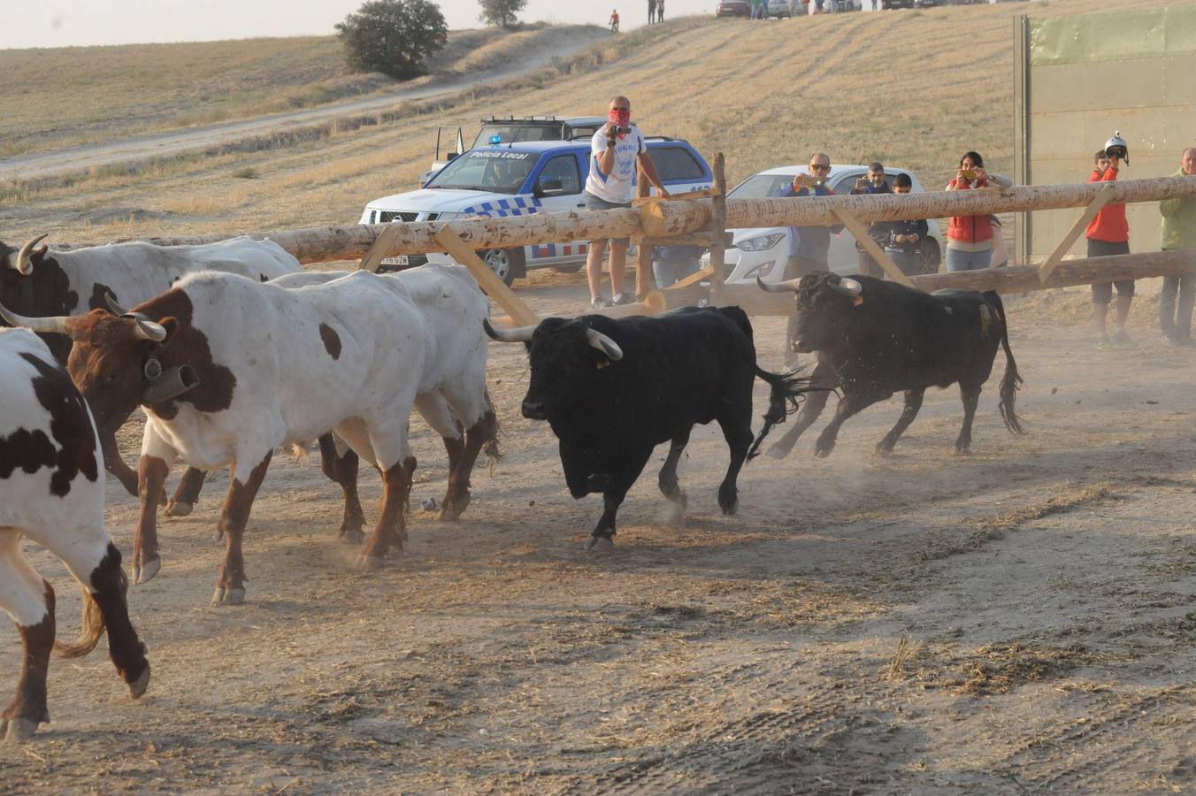 La suelta que se caracterizo por su rapidez y no contó con incidentes reseñables