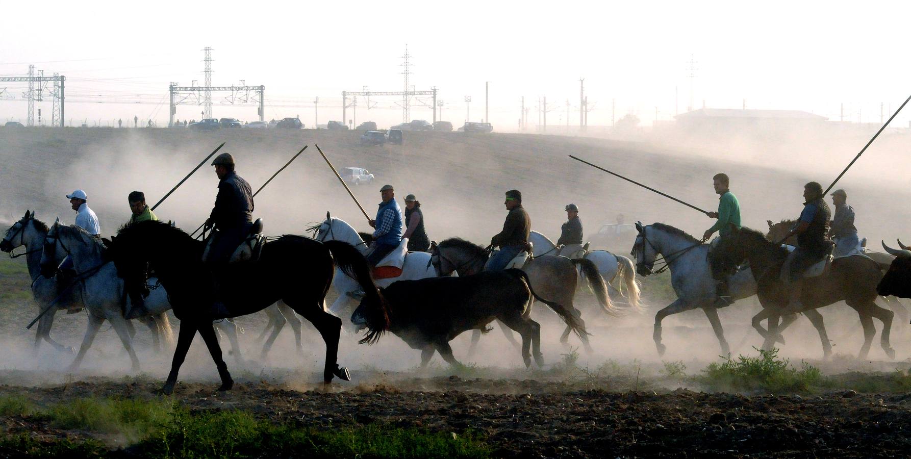 La suelta que se caracterizo por su rapidez y no contó con incidentes reseñables