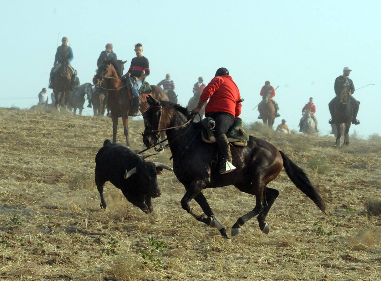 La suelta que se caracterizo por su rapidez y no contó con incidentes reseñables