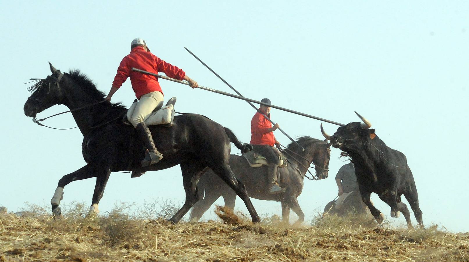 La suelta que se caracterizo por su rapidez y no contó con incidentes reseñables