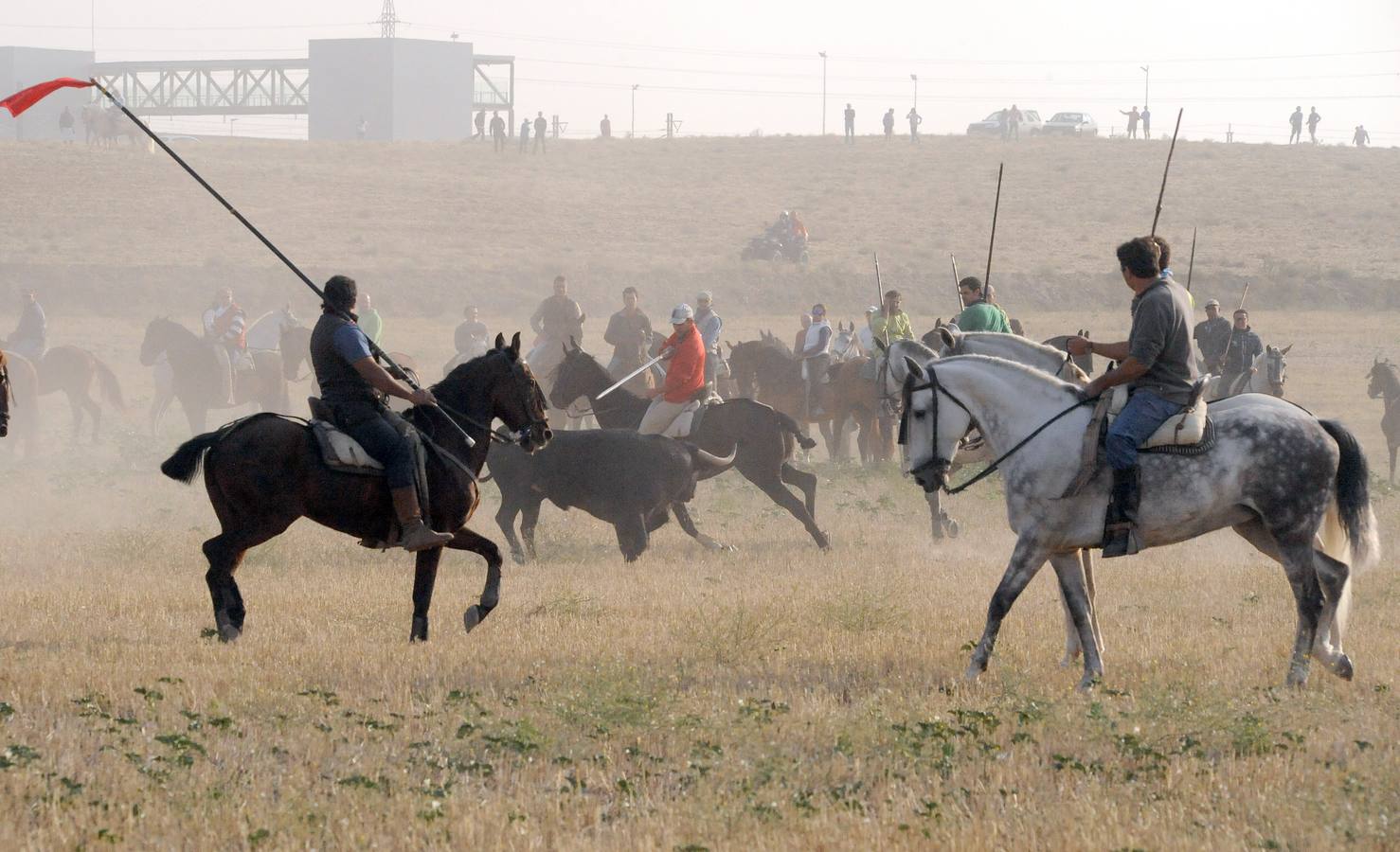 La suelta que se caracterizo por su rapidez y no contó con incidentes reseñables