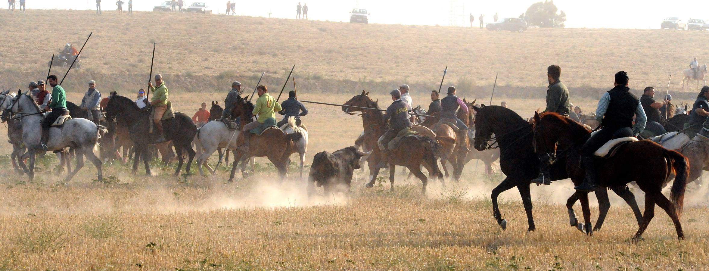 La suelta que se caracterizo por su rapidez y no contó con incidentes reseñables