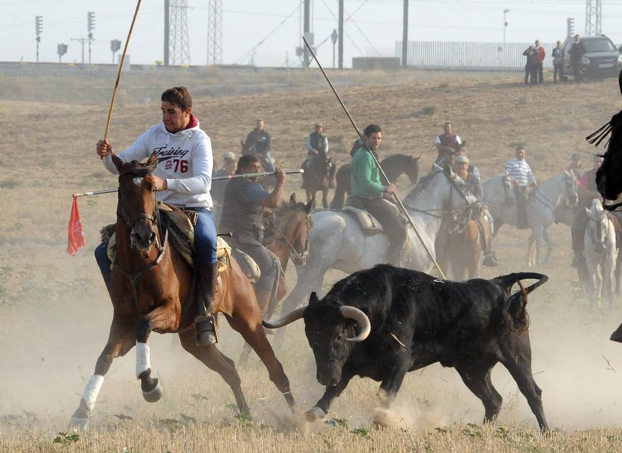 La suelta que se caracterizo por su rapidez y no contó con incidentes reseñables