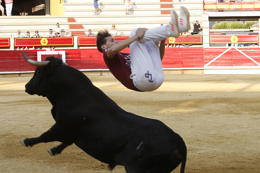 Concurso de cortes en Laguna de Duero