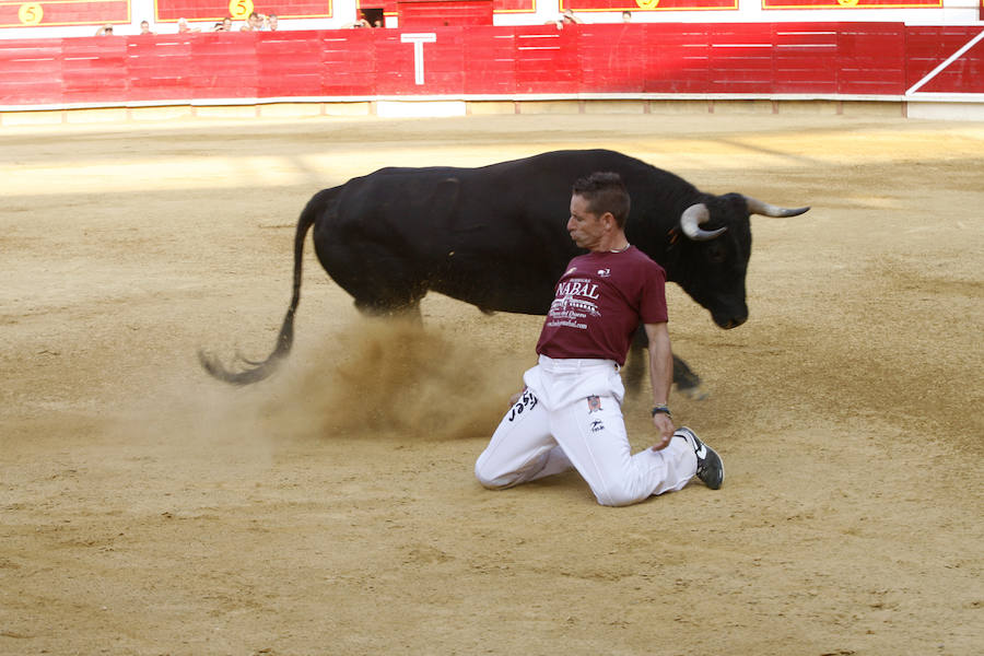 Concurso de cortes en Laguna de Duero