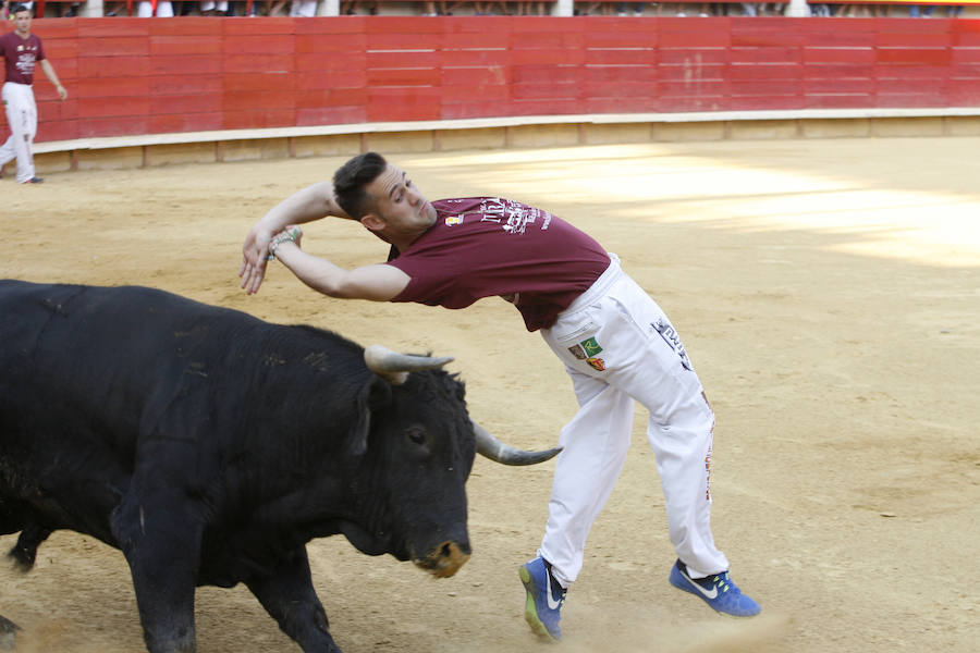 Concurso de cortes en Laguna de Duero