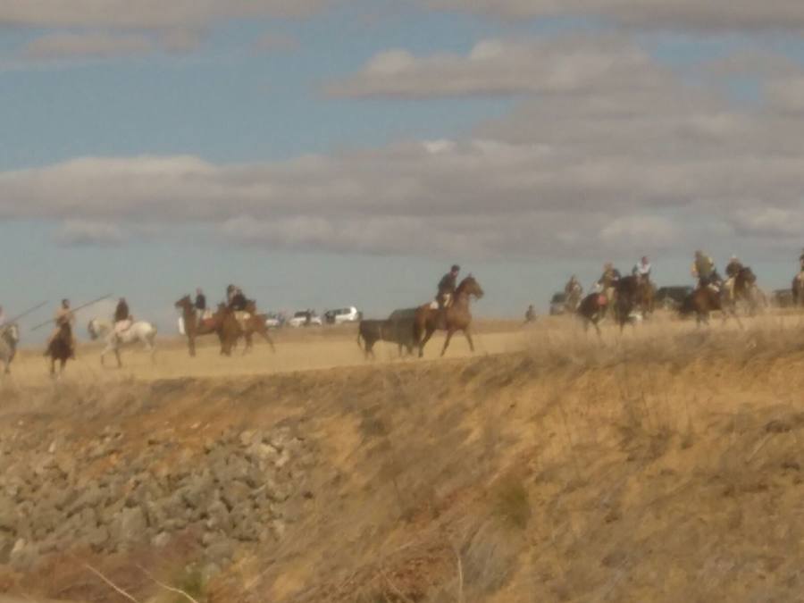 Fiestas en Paredes de Nava