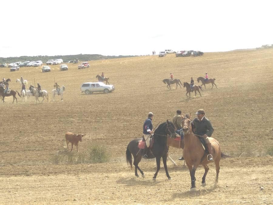 Fiestas en Paredes de Nava