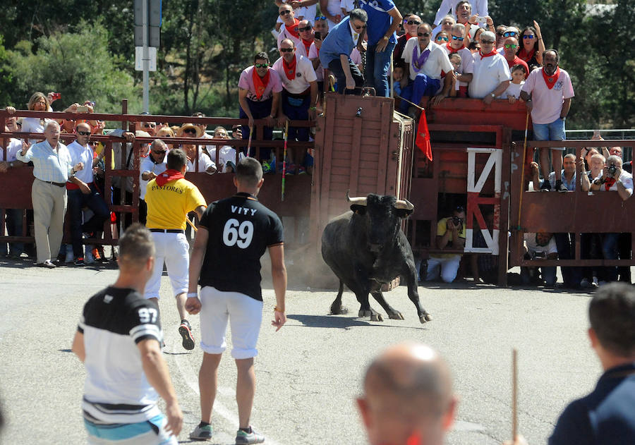 Toro del Cajón en Tordesillas
