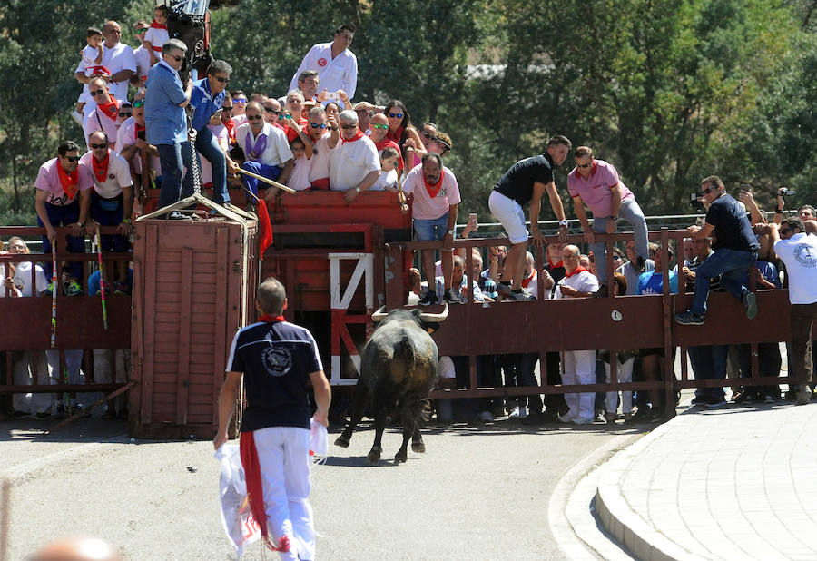 Toro del Cajón en Tordesillas