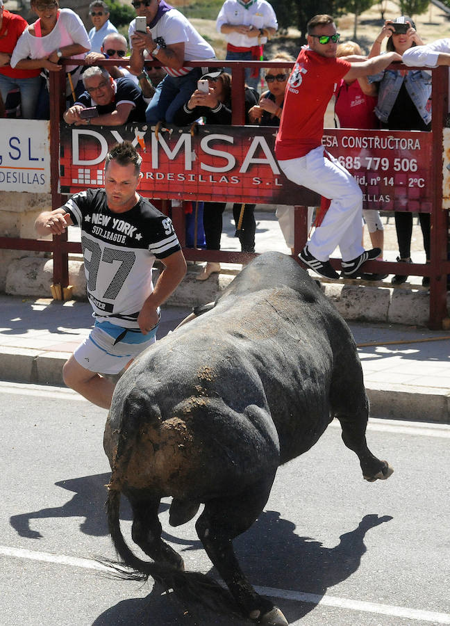 Toro del Cajón en Tordesillas