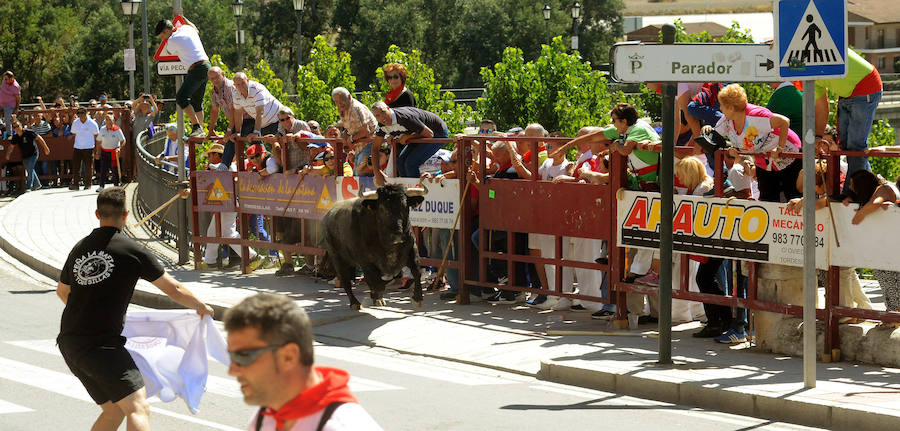 Toro del Cajón en Tordesillas