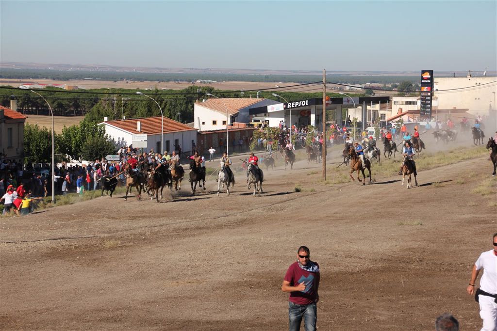 Segundo encierro de las fiestas de Arrabal de Portillo (Valladolid)