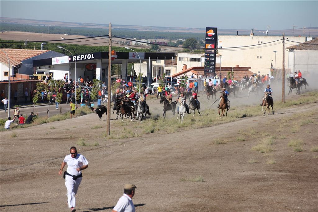 Segundo encierro de las fiestas de Arrabal de Portillo (Valladolid)