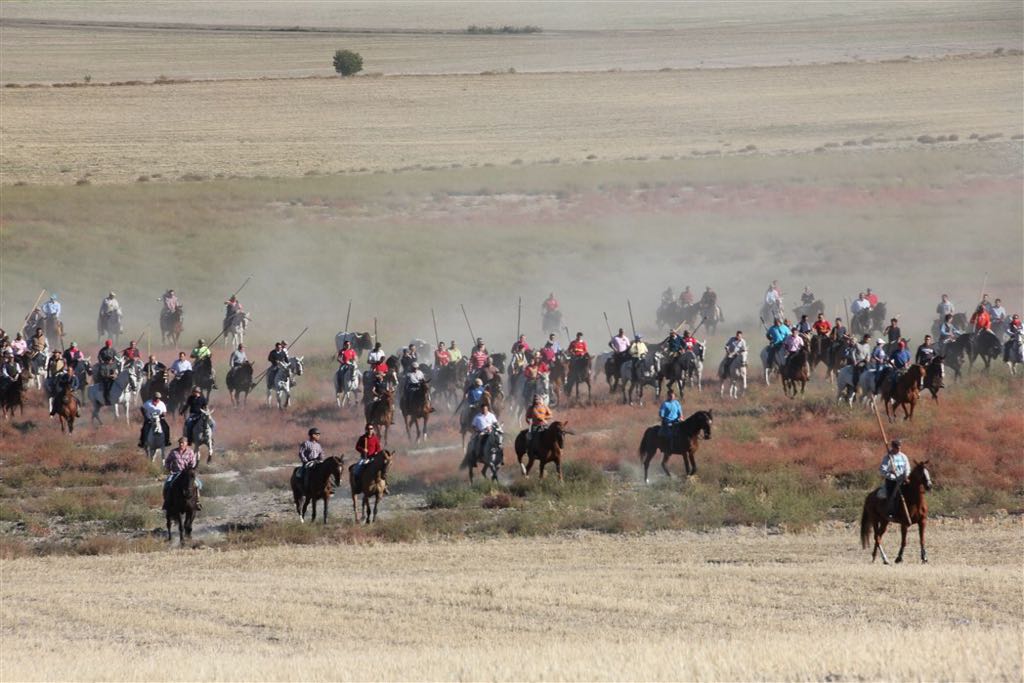 Segundo encierro de las fiestas de Arrabal de Portillo (Valladolid)