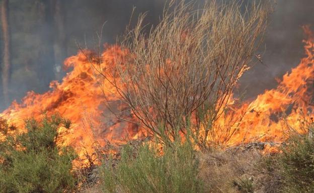 El fuego calcina el monte en el entorno de Encinedo.