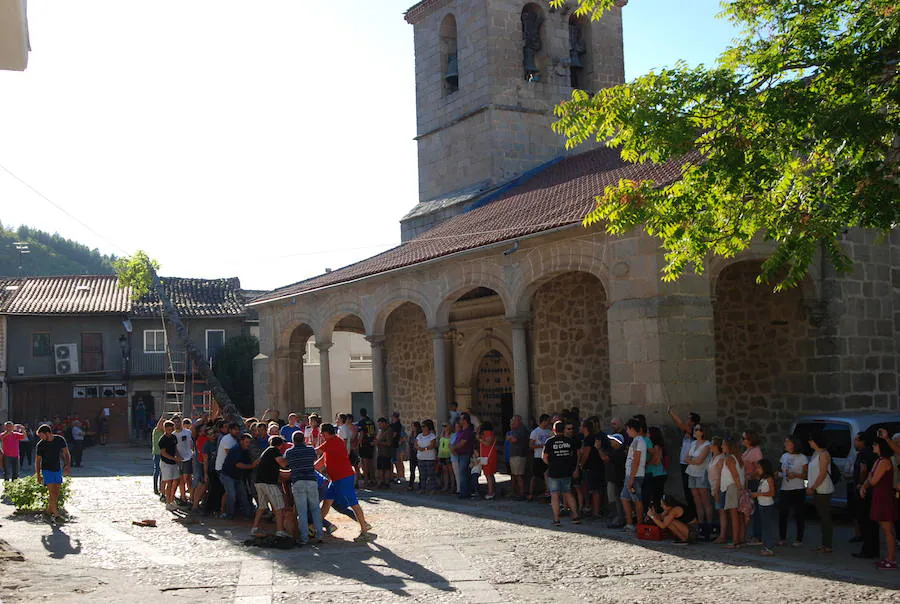 Fiestas de San Esteban de la Sierra (Salamanca)