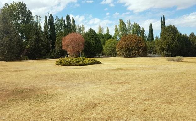 Parque frente a la piscina de Parquesol. 