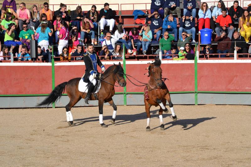 Fiestas de Astudillo