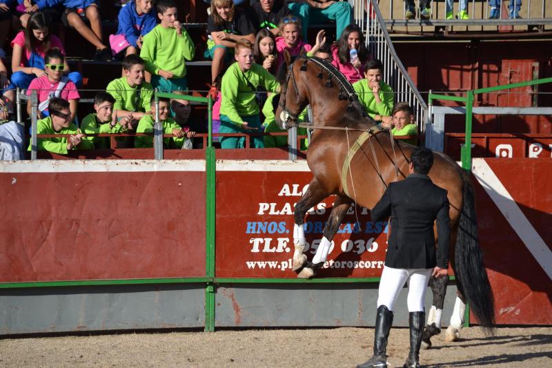 Fiestas de Astudillo