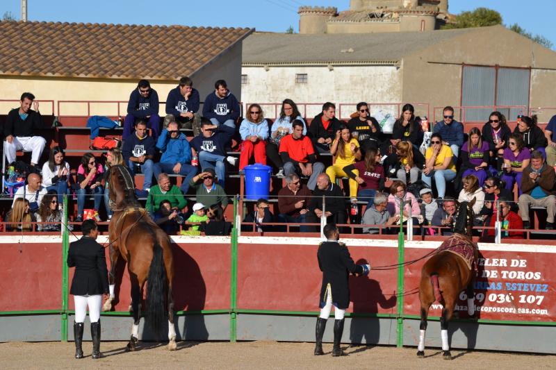 Fiestas de Astudillo