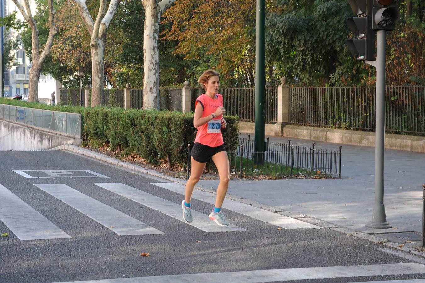 XXIX Media Maratón Ciudad de Valladolid y V Legua (3/4)