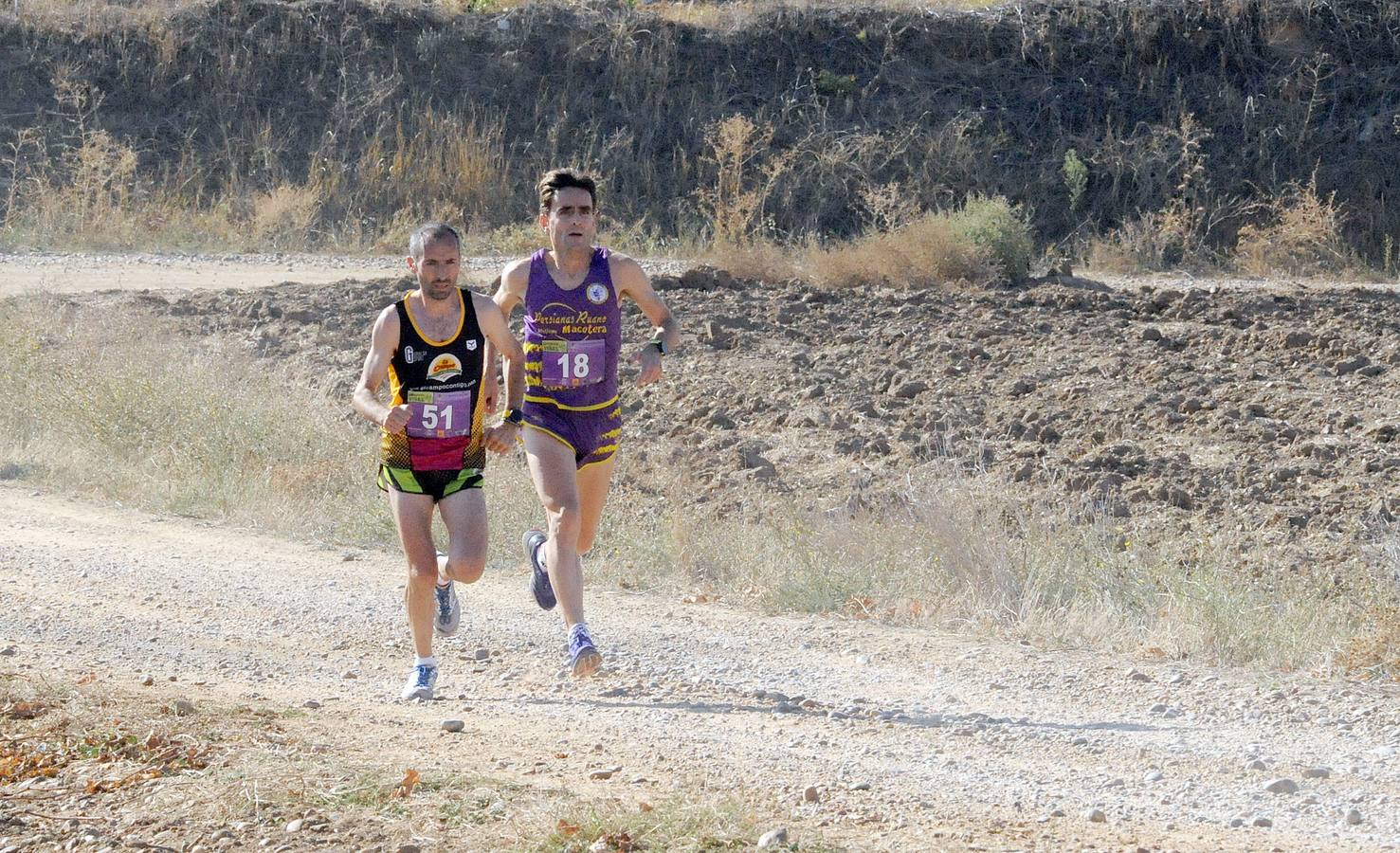 Circuito &#039;Corriendo entre Viñas&#039;