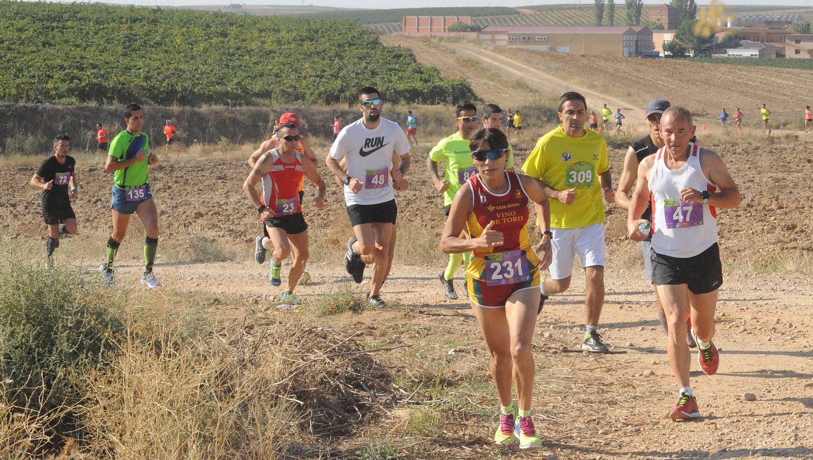 Circuito &#039;Corriendo entre Viñas&#039;