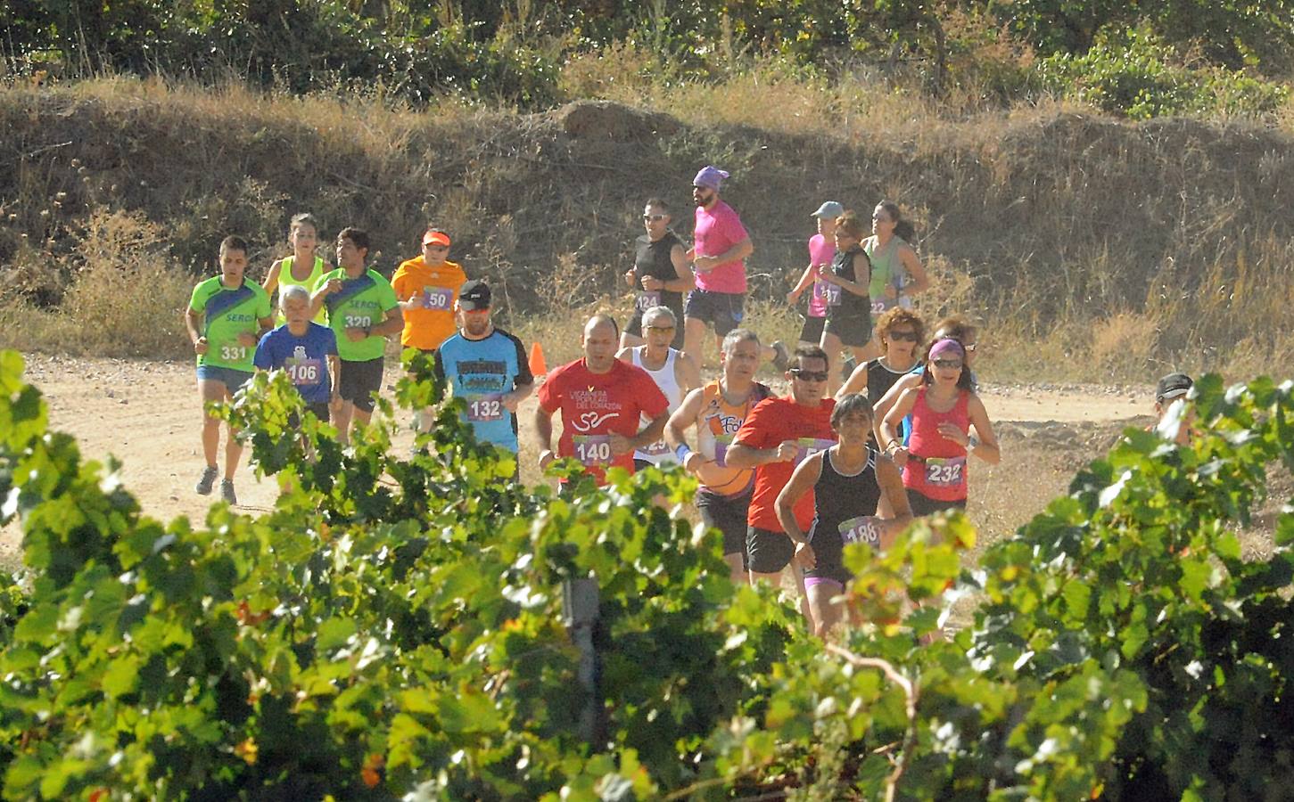 Circuito &#039;Corriendo entre Viñas&#039;