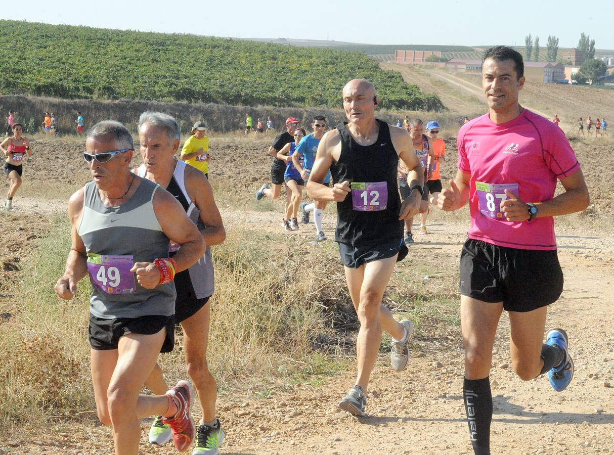 Circuito &#039;Corriendo entre Viñas&#039;