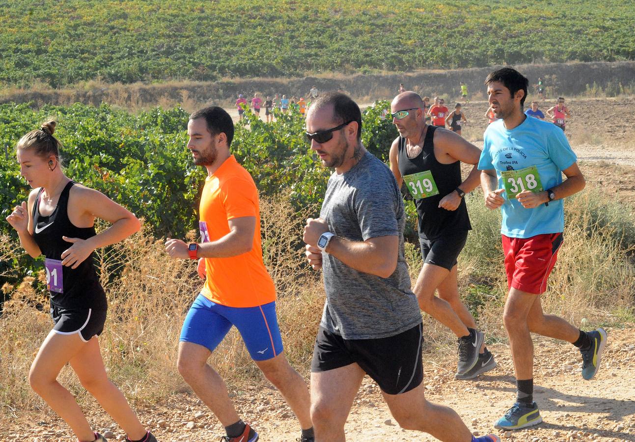 Circuito &#039;Corriendo entre Viñas&#039;