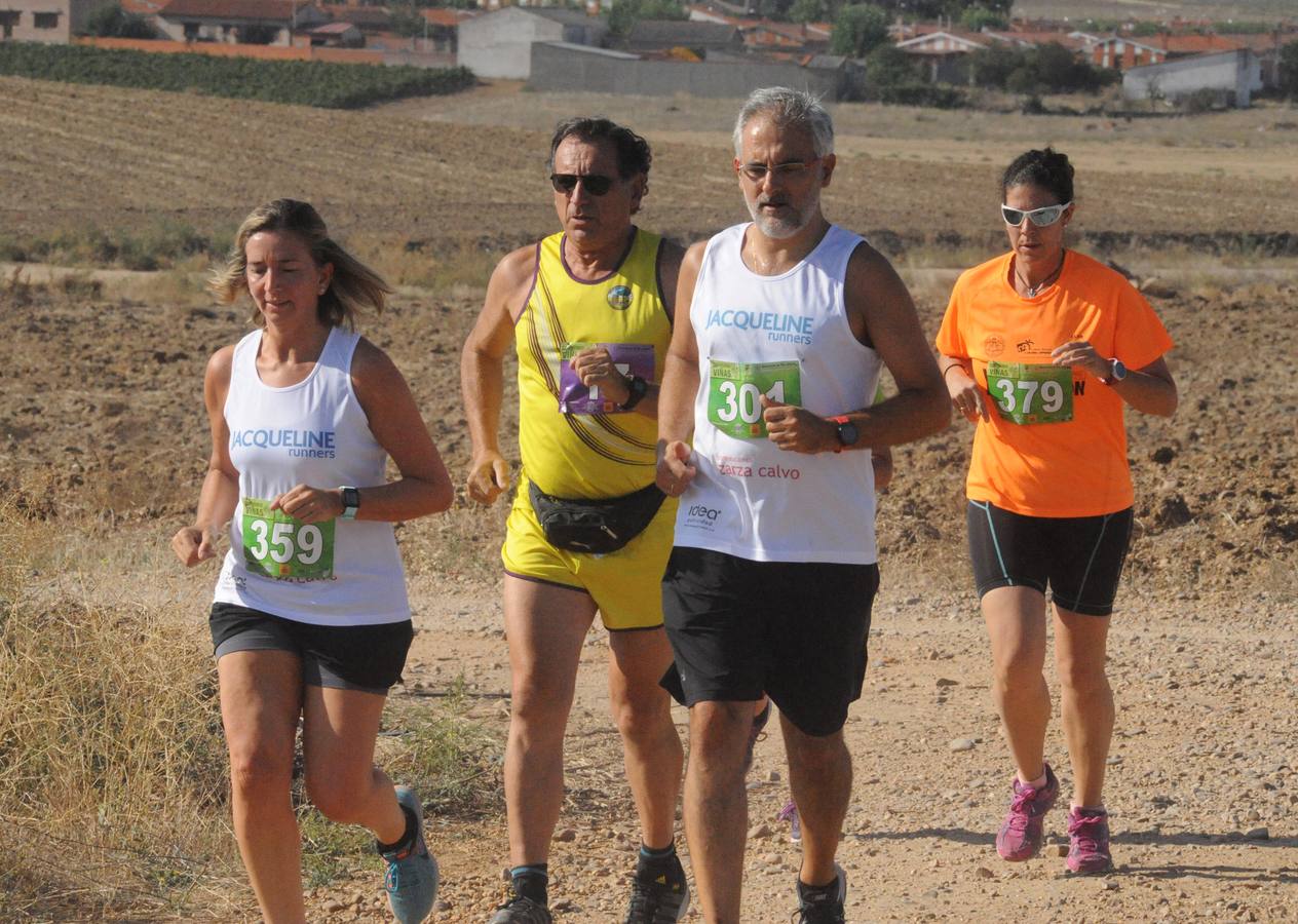 Circuito &#039;Corriendo entre Viñas&#039;