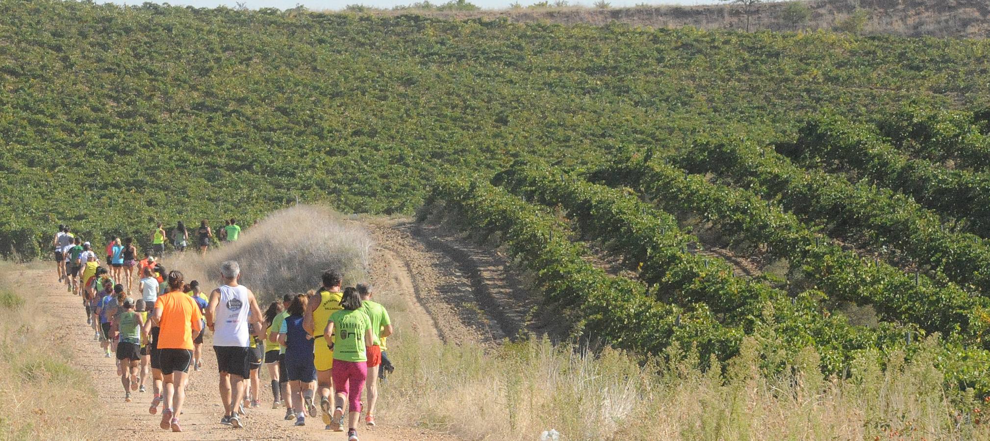 Circuito &#039;Corriendo entre Viñas&#039;