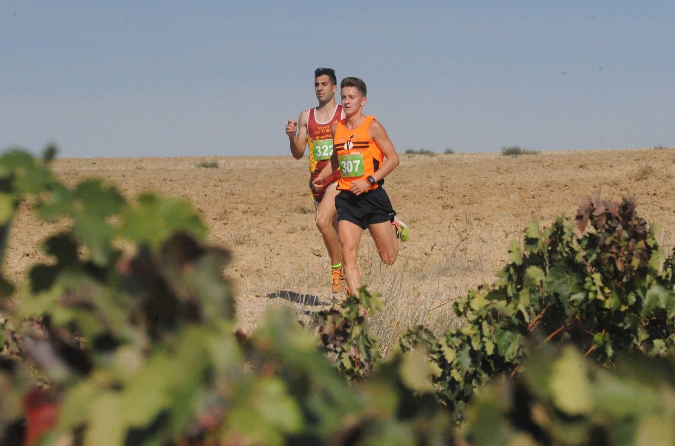 Circuito &#039;Corriendo entre Viñas&#039;