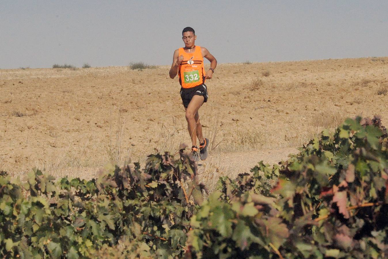 Circuito &#039;Corriendo entre Viñas&#039;