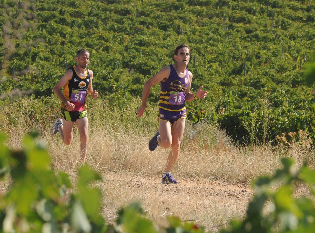 Circuito &#039;Corriendo entre Viñas&#039;