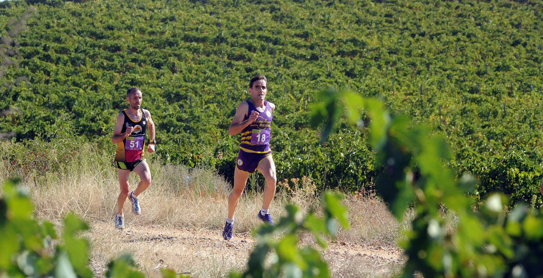 Circuito &#039;Corriendo entre Viñas&#039;