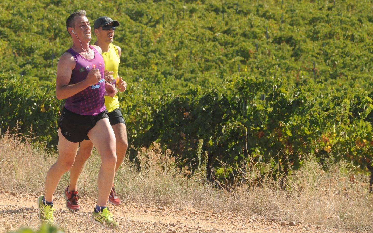 Circuito &#039;Corriendo entre Viñas&#039;