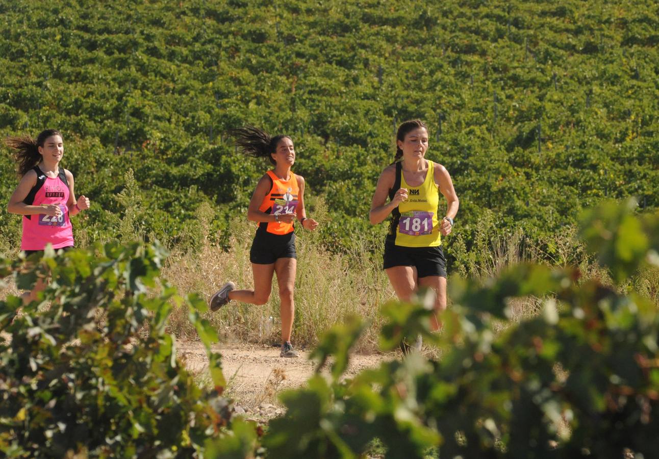 Circuito &#039;Corriendo entre Viñas&#039;