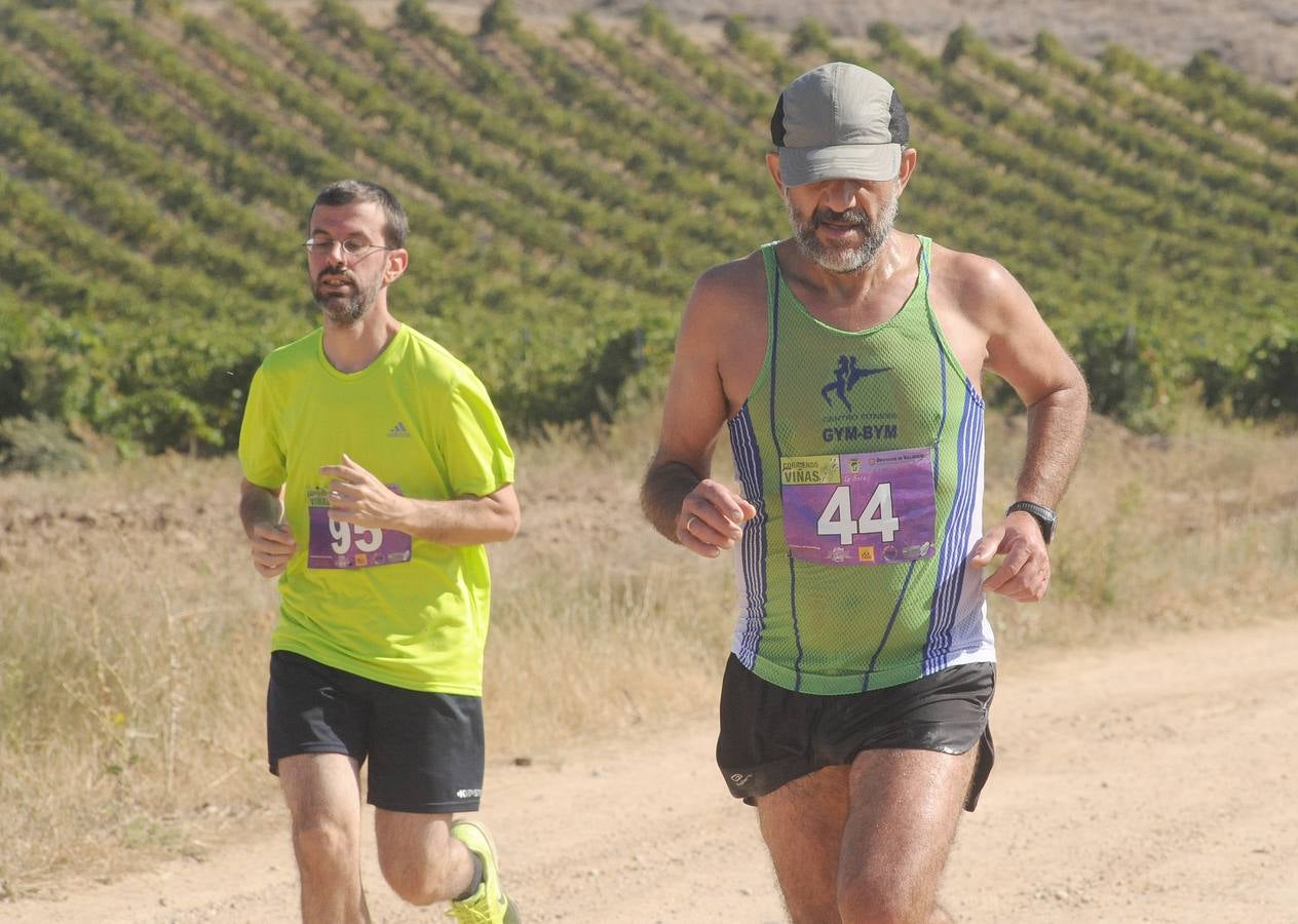 Circuito &#039;Corriendo entre Viñas&#039;