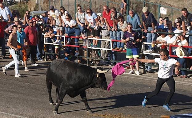 Primer encierro tradicional durante la jornada inaugural de las fiestas de Olmedo. 