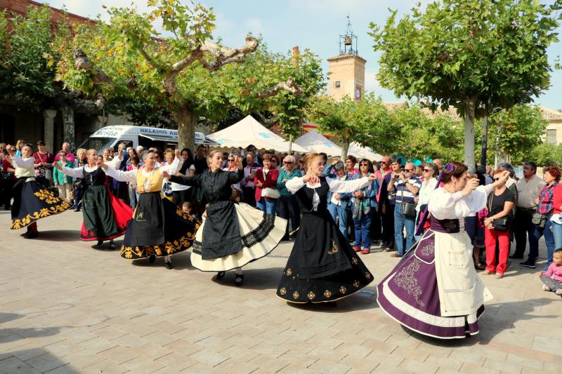 Día de la Provincia en Astudillo (Parte 2/2)