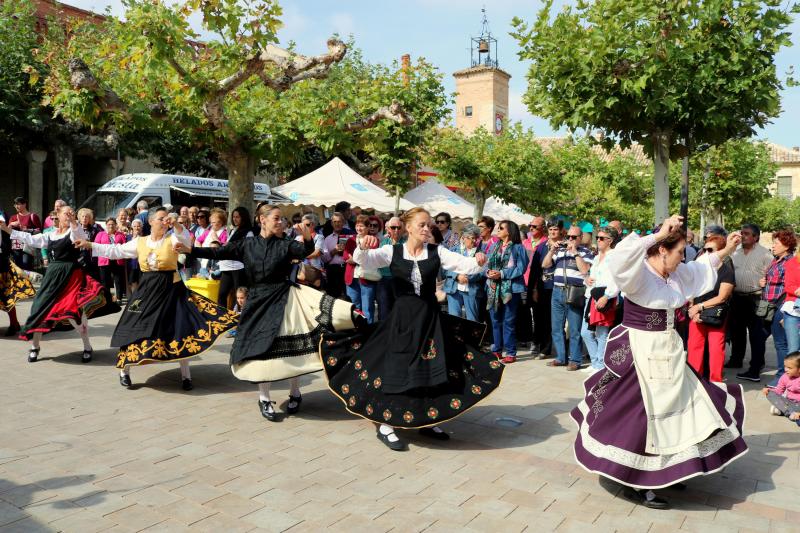 Día de la Provincia en Astudillo (Parte 2/2)