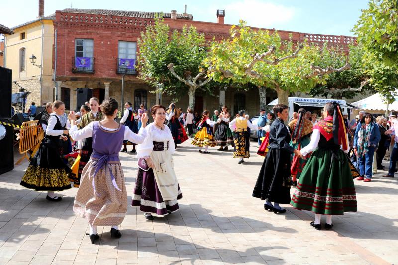 Día de la Provincia en Astudillo (Parte 2/2)