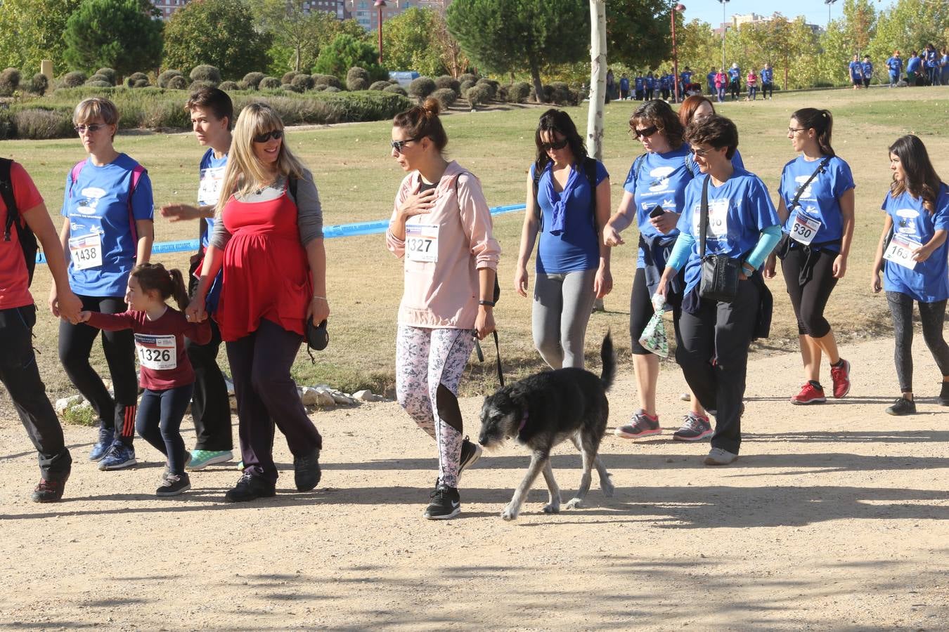 III Caminata solidaria por el Banco de Alimentos (1/2)