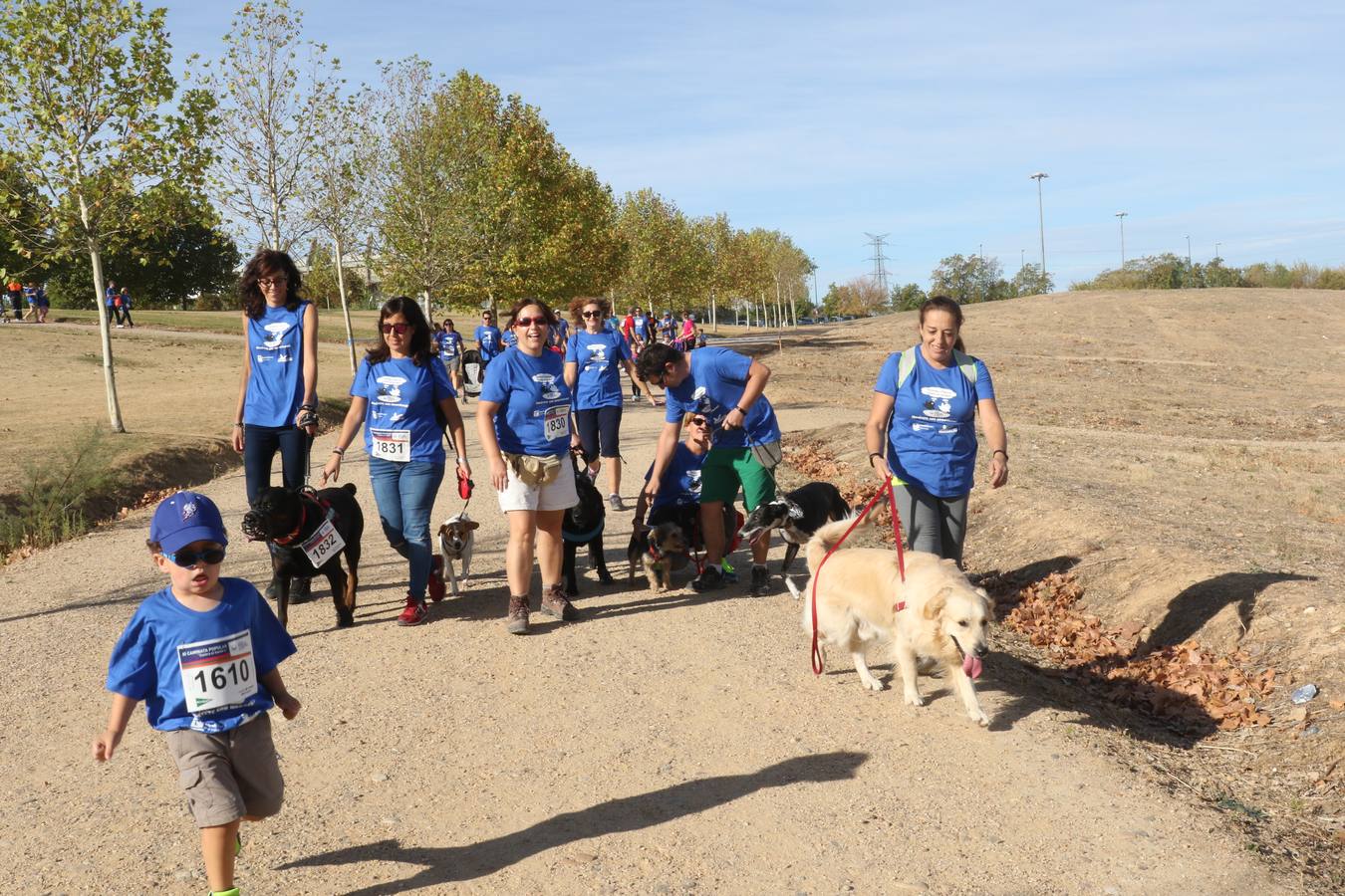 III Caminata solidaria por el Banco de Alimentos (1/2)