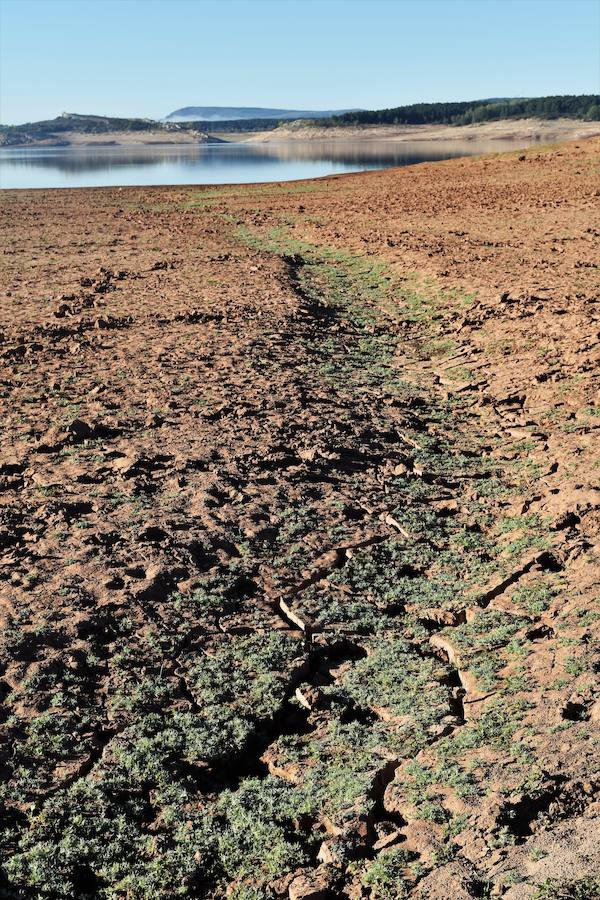 La disminución de las aguas del embalse permite que afloren piezas que van desde el jurásico al sigo XXI