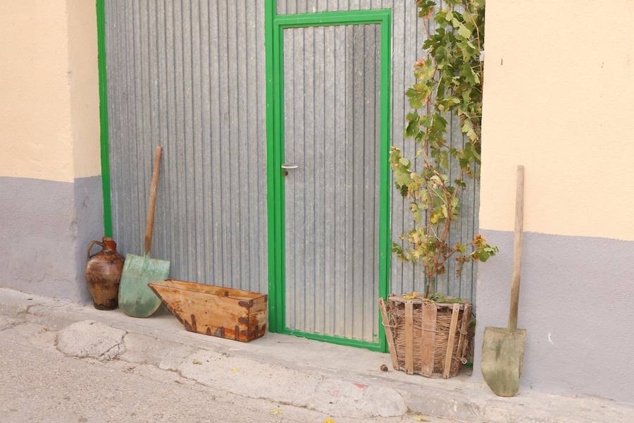 XX Fiesta de la Vendimia del Arlanza en Valdecañas de Cerrato (1/3)