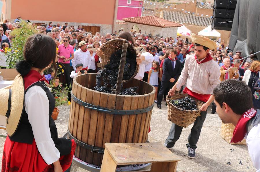 XX Fiesta de la Vendimia del Arlanza en Valdecañas de Cerrato (1/3)