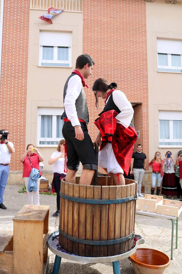 XX Fiesta de la Vendimia del Arlanza en Valdecañas de Cerrato (1/3)